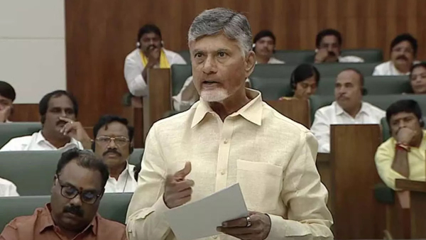 CM Chandrababu tribal jobs CM Chandrababu announces exclusive reservation of jobs in tribal areas for tribals