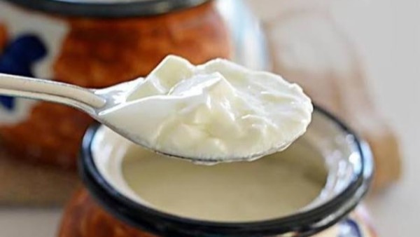 Curd benefits daily food menu to Improve Gut Health wondering digestive system induce with microbiota Curd benefits daily food menu to Improve Gut Health wondering digestive system induce with microbiota