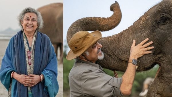 How Wildlife SOS Ended 400 Years of Cruel Dancing Bear Tradition in India The Untold Rescue Story