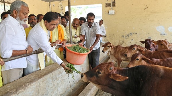 Krishnashtami Gokulashtami Celebrations by TTD with Spiritual and Cultural Programmes at SV Gosala