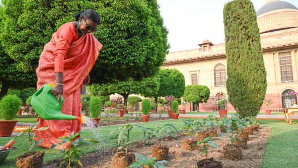 New Herb Species Discovered in Tamil Nadu Named Leucas Droupadiae After President Droupadi Murmu