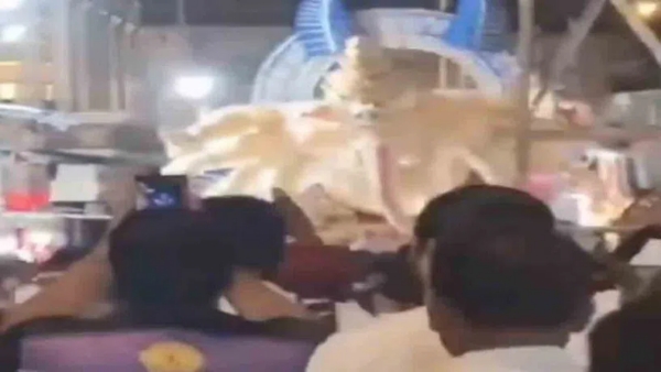 mumbai Tragedy news Massive 22-foot Ganesha idol collapses two dead several critically injured