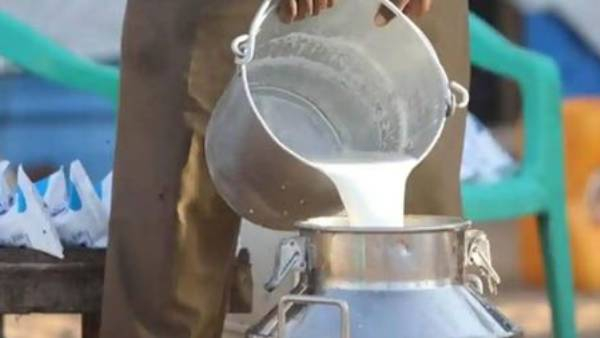 Mumbai Milk Price Hike Buffalo Milk To Cost Up To Rs 112 Litre From September 1 Full Details Here Mumbai Milk Price Hike Buffalo Milk To Cost Up To Rs 112 Litre From September 1 Full Details Here