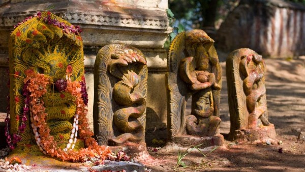 Naga Panchami Or Nagula Chaviti falls on August 17 date timings rituals and the deeper meaning