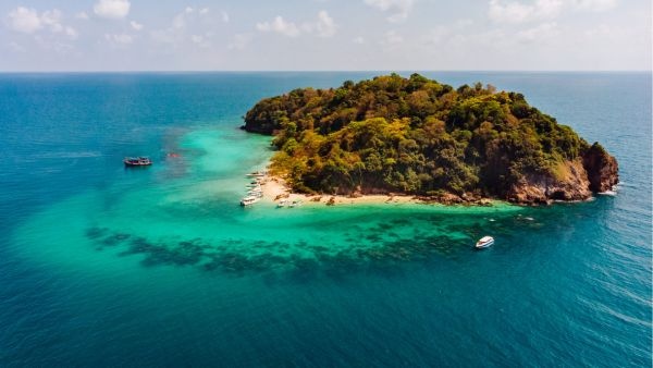 Ecological Miracle In Palau Removing Invasive Rats From Ulong Island Causes 183 Percent Fish Surge Ecological Miracle In Palau Removing Invasive Rats From Ulong Island Causes 183 Percent Fish Surge