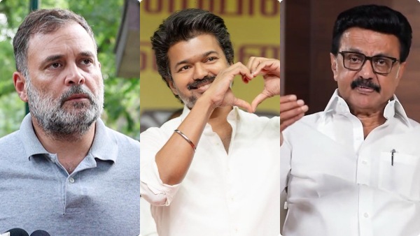 After Vijay Ranks 3rd in PM Survey DMK Mocks TVK Pitch Congress Backs Rahul After Vijay Ranks 3rd in PM Survey DMK Mocks TVK Pitch Congress Backs Rahul