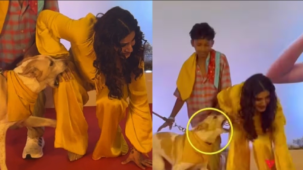 Did a Dog Bite Raveena Tandon at Oh My Dog Premiere Actress Clears the Air Over Viral Video Did a Dog Bite Raveena Tandon at Oh My Dog Premiere Actress Clears the Air Over Viral Video