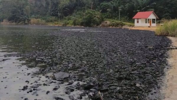 Rare Geological Phenomenon Sano Nggoang Lake Turns Dark Following Severe Earthquake in Indonesia