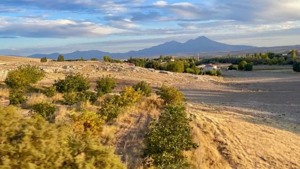 2000-Year-Old Ancient Secret Found Extinct Roman Miracle Plant Silphium Rediscovered in Turkey