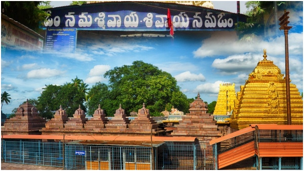 srisailam-sravana-masotsavalu-planned-for-month-long-festivities-from-august-13-to-september-12-he