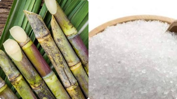 Sugar Prices Break Records as Cane Shifts to Ethanol Under E20 Push