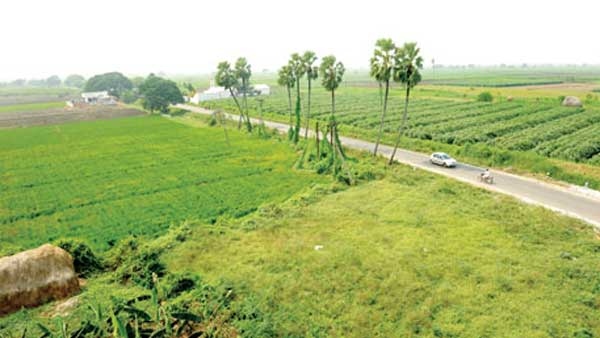 telangana-property-owners-can-check-section-22a-prohibited-properties-list-online-for-free-details telangana-property-owners-can-check-section-22a-prohibited-properties-list-online-for-free-details