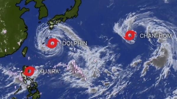 Typhoon Dolphin Threatens Japan As Over 260k Evacuated And 500 Flights Cancelled Amid Heavy Rains Typhoon Dolphin Threatens Japan As Over 260k Evacuated And 500 Flights Cancelled Amid Heavy Rains
