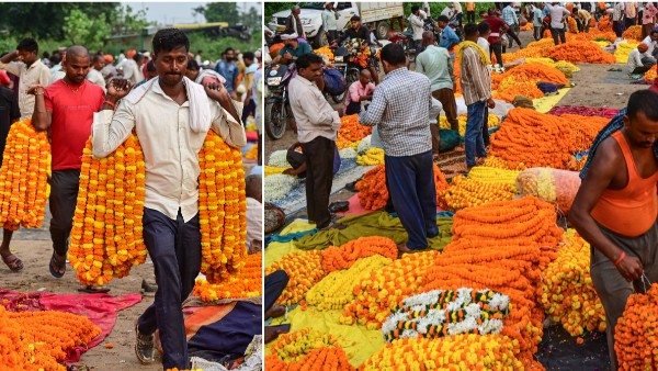 Varalakshmi Vratam and Festival Shopping Boom with Flower Fruit Prices Skyrocket Set to Rise Further Varalakshmi Vratam and Festival Shopping Boom with Flower Fruit Prices Skyrocket Set to Rise Further