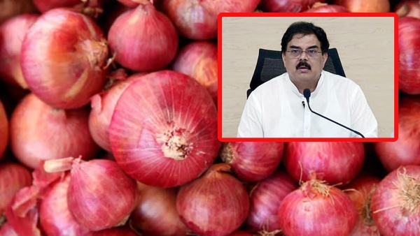 AP Government to Sell Onions at Rs 32 per Kg From Next Week Across 115 Rythu Bazaars Full Details