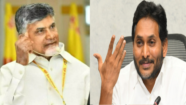 CEC Row After YSRCP NDA Allies TDP LJP and RLM Seek Clarification From EC CEC Row After YSRCP NDA Allies TDP LJP and RLM Seek Clarification From EC