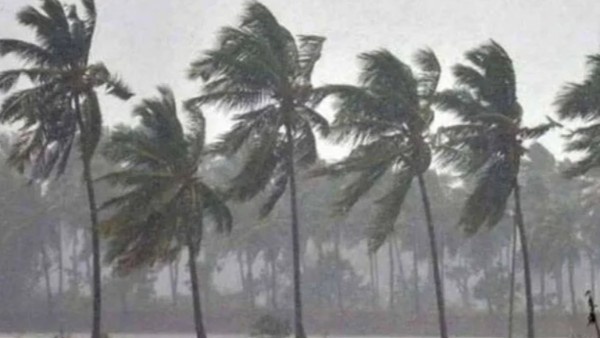 Final Widespread Monsoon Rain Expected in India From Sept 12- 21 IMD Revives as El Nino Impact Final Widespread Monsoon Rain Expected in India From Sept 12- 21 IMD Revives as El Nino Impact