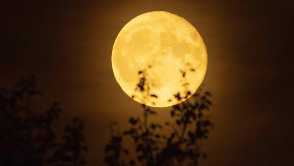 Harvest Moon 2026 Rare Full Moon to Light Up the Sky on September 26 why this full moon is special Harvest Moon 2026 Rare Full Moon to Light Up the Sky on September 26 why this full moon is special
