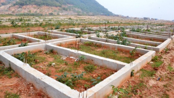 AP Govt Revises Assigned Land Rules RDOs Get Freehold Powers Outside Municipal Corporations