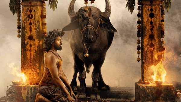 Maremma Movie Review Maadhav Bhupathiraju Rural Drama Review and Rating Full Details Here