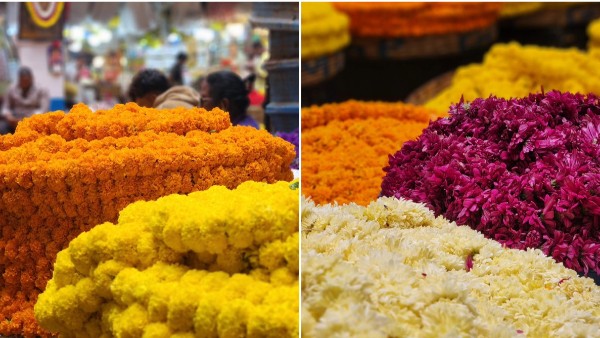 Marigold Chrysanthemum and Gulchhadi Flower Rates Soars during Ganesh Chaturthi Festival in Hyderabad