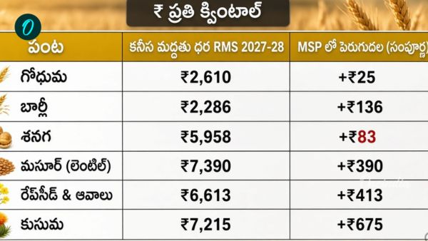 Central Cabinet Approves Hike in Minimum Support Prices for All Six Mandated Rabi Crops for 2027-28