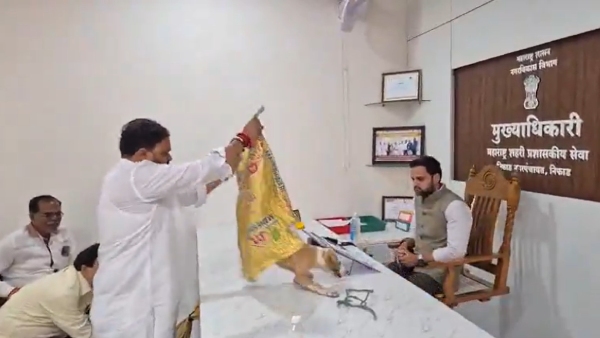 Stray Dog Protest in Nashik Yuva Sena Releases Strays in Niphad Nagar Civic Chief Office Video Goes Viral Stray Dog Protest in Nashik Yuva Sena Releases Strays in Niphad Nagar Civic Chief Office Video Goes Viral