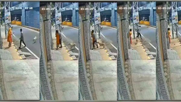 Streetdogs young man Attempted sexual assault on a woman at midnight in Coimbatore chased by dogs
