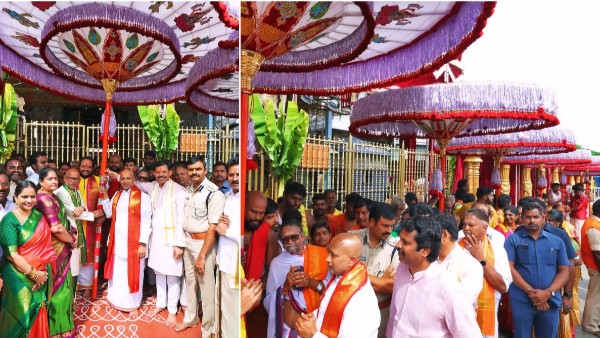 Tulsi Plants to Tirumala Devotees Distributes by TTD Sacred Umbrellas arrived Tirumala from Chennai Tulsi Plants to Tirumala Devotees Distributes by TTD Sacred Umbrellas arrived Tirumala from Chennai