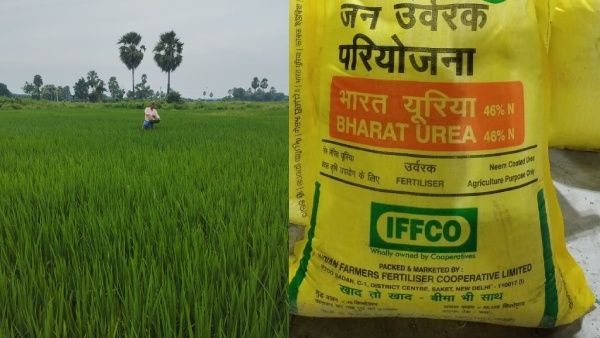 Urea App Troubles Trouble Farmers as Fertilizer Booking Becomes Difficult citing technical issues stock shortages Urea App Troubles Trouble Farmers as Fertilizer Booking Becomes Difficult citing technical issues stock shortages