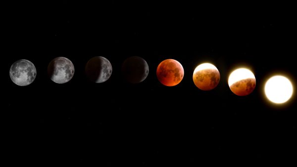Rare Space Event on Sept 14 Venus to Hide Behind Moon During Daytime Occultation Check IST Timings