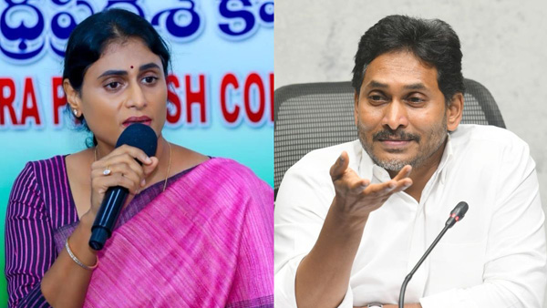 YS Jagan and YS Sharmila Reconciliation Talks Underway Amid YCP Discussions here the reports