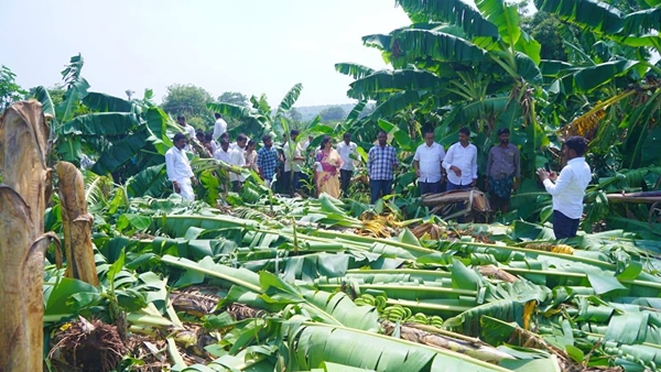 AP Govt Announces Crop Loss Compensation for Farmers Hit by Cyclone Arnab