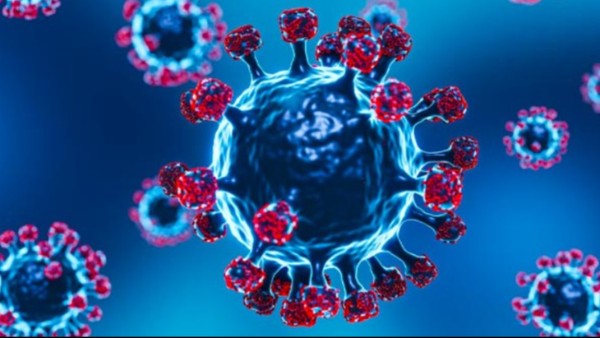 Dangerous Plague Reportedly Outbreak in Russia over a suspected infection in Siberia laboratory