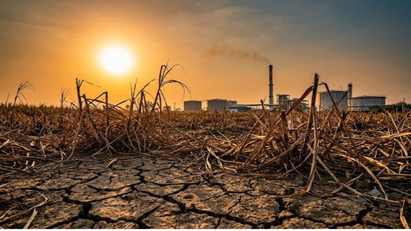 India Stops Ethanol Production from Sugarcane Due to Poor Crop Yield Caused by El Nino Weather