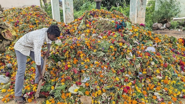 GWMC Bathukamma waste bio compost Warangal Turns Bathukamma Waste into Bio-Compost GWMC plan