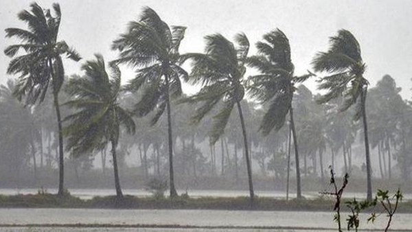 Heavy rain for Nellore and Tirupati as low-pressure area forming southeast and central Bay of Bengal