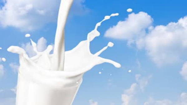 milkprices by Rs 8 per litre shock for the common man Karnataka government makes a key decision now milkprices by Rs 8 per litre shock for the common man Karnataka government makes a key decision now