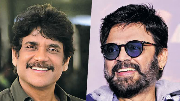 Tollywood A magnificent blockbuster missed in the akkineni Nagarjuna daggubati Venkatesh combination Tollywood A magnificent blockbuster missed in the akkineni Nagarjuna daggubati Venkatesh combination