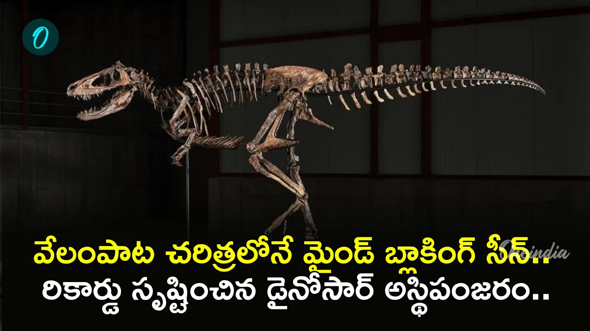 అస్థిపంజరానికి వేలంపాట.. 12 నిమిషాల్లో 450 కోట్లు! ప్రపంచంలోనే మూడో స్కెలిటన్