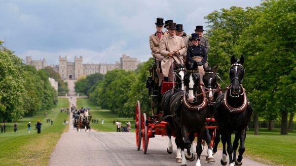 New York City Votes To Ban Horse Drawn Carriages By June 2028 Following Indian Tourist Fatal Accident