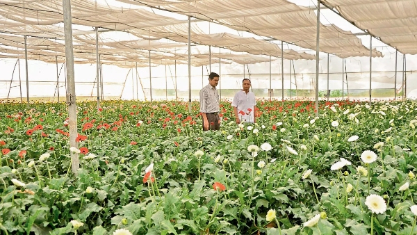 Rayalaseema Horticulture Hub AP to set up Rs1lakh crore Horticulture Hub Foundation on october 2 Rayalaseema Horticulture Hub AP to set up Rs1lakh crore Horticulture Hub Foundation on october 2