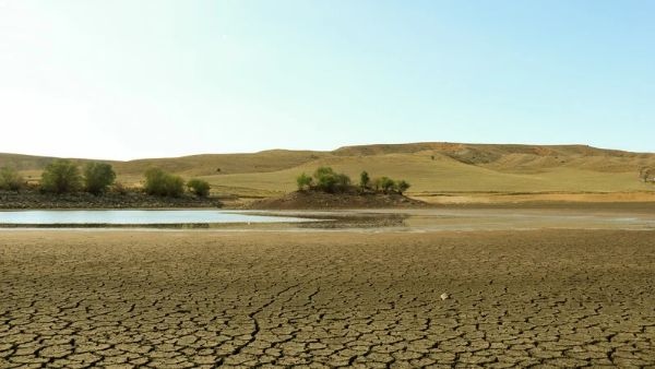 Telangana Declares 365 Mandals As Drought Affected For Vanakalam 2026 Amid 17 Percent Rainfall Deficit Telangana Declares 365 Mandals As Drought Affected For Vanakalam 2026 Amid 17 Percent Rainfall Deficit