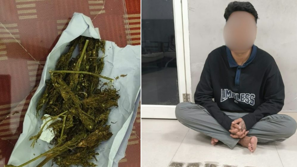 Top universities in ganja trap Eagle Force Busts Ganja Network in Hyderabad s Top Universities