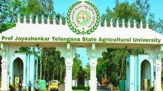 ఇంటర్వ్యూలు లేకుండానే యూనివర్సిటీలలో జాబ్స్.. 984 ఉద్యోగాల భర్తీ!