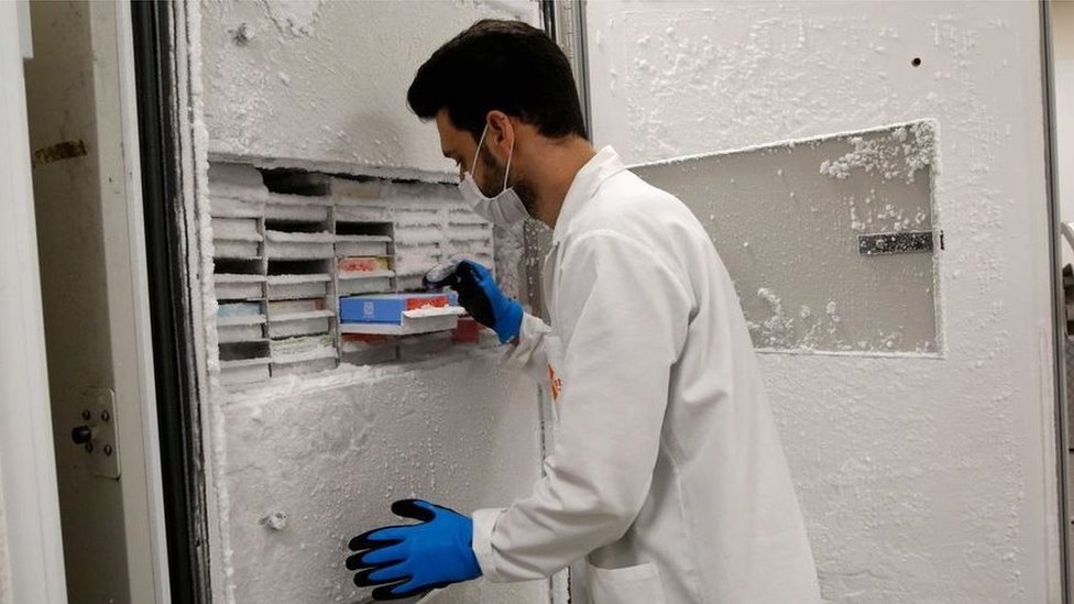 టి కణాలు టి కణాలు