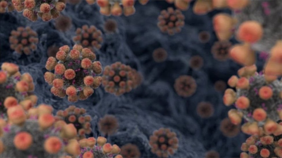 కరోనావైరస్