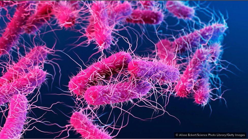 వ్యాక్సీన్