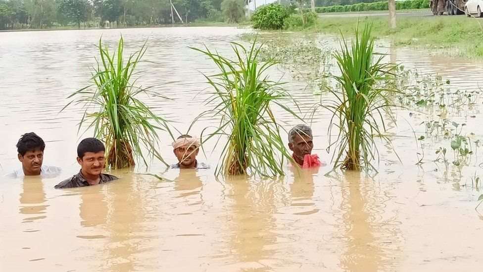 ఇటీవల భారీ వర్షాలకు పశ్చిమ గోదావరి జిల్లాలో కైకరం వద్ద పీకల్లోతు నీళ్లలో రైతులు