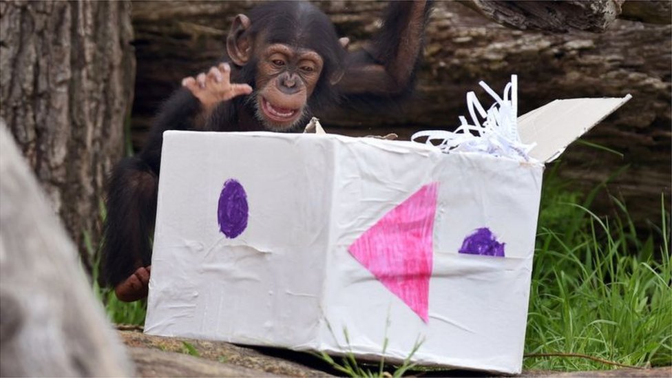 బాక్సుల్లో బహుమతులు ఇవ్వడం బాక్సింగ్‌ డే ప్రత్యేకతల్లో ఒకటి